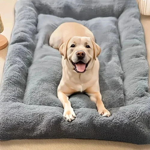 Xxlarge orthopedic memory foam - orthopedic,